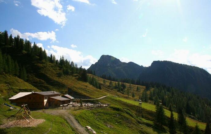 Loosbühelalm