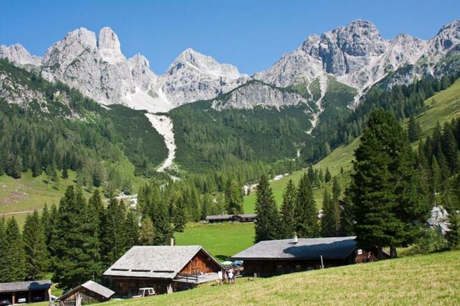 Die Hofalmen mit Bischofsmütze