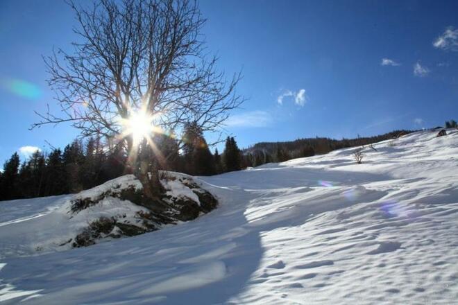 Die Sonne sucht sich einen Weg
