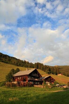 Breitenebenalm, 1.420 m