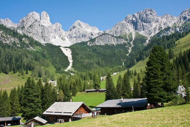 Blick von der Hofalm hinauf zur Großen Bischofsmütze