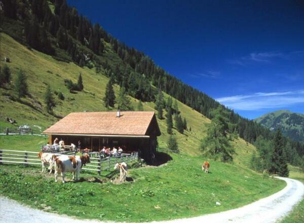 Hirschgrubenalm