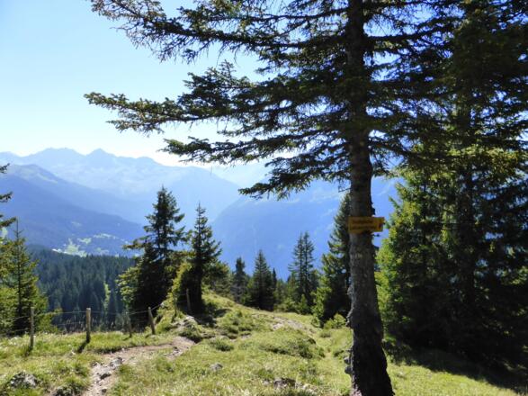 Falla - Aussichtspunkt