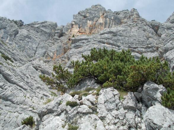 Bildmitte,oben: Bergführerquergang