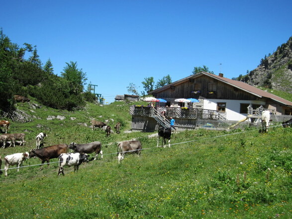 Traualpe