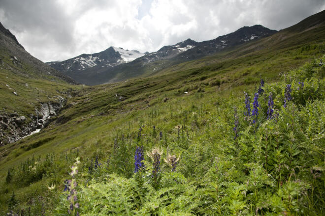 Wetter wird besser - erste Blick Richtung Gipfel