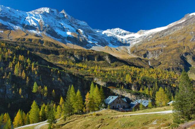 Ammererhof
