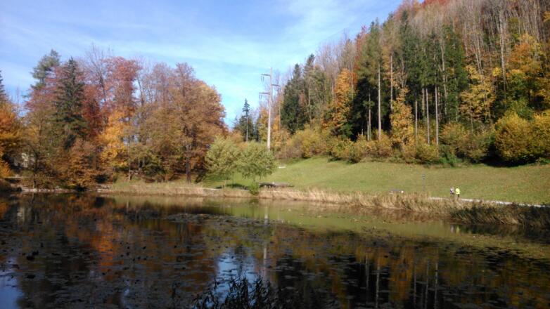 Egelsee im Herbst