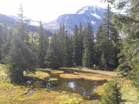 Höhenwanderung