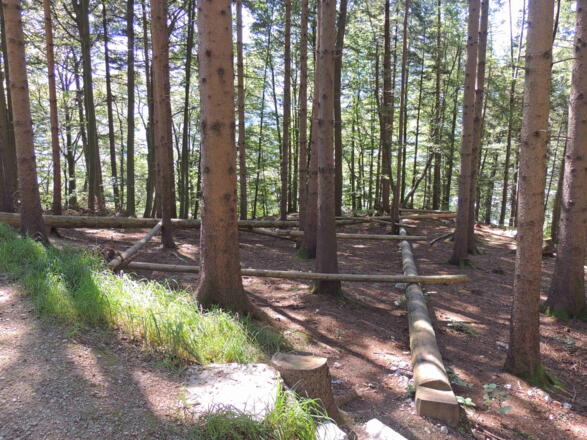 Balancierweg am Jahreszeitenweg-Golling