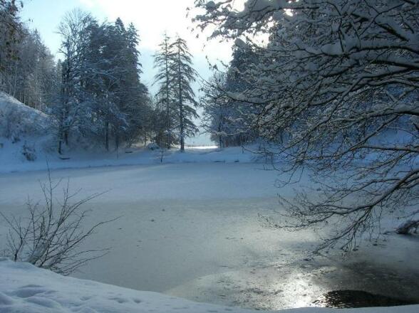 Egelsee im Winter