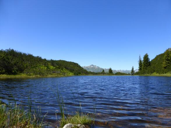 Wiegensee