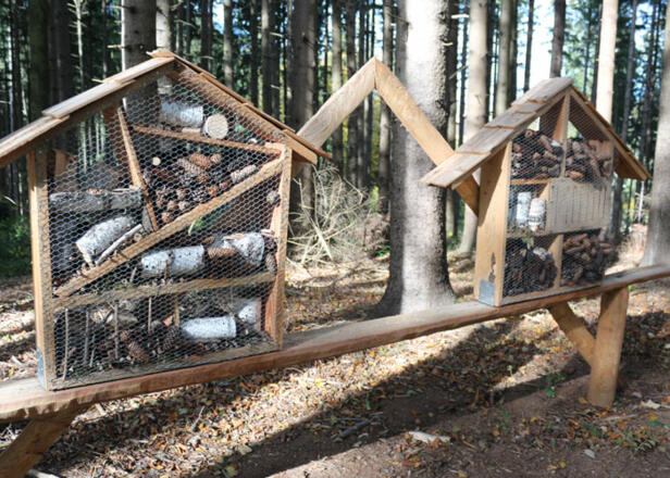 Insektenhotel-Jahreszeitenweg-Golling