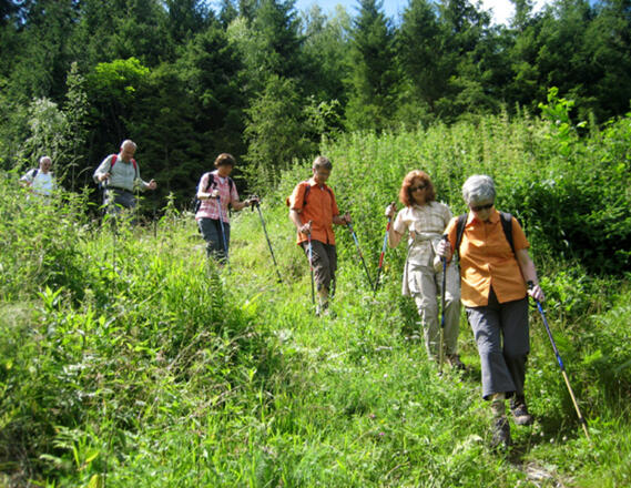 Der Naturlehrweg in Hollersbach