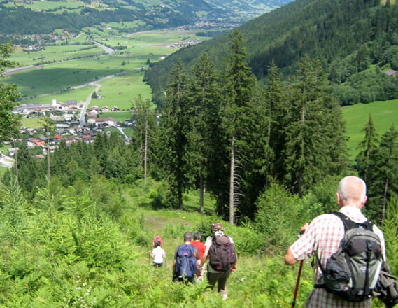 Bergab nach Hollersbach