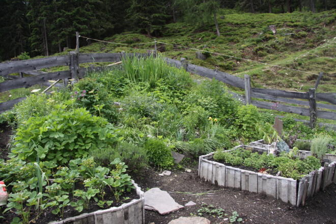 Kräutergarten