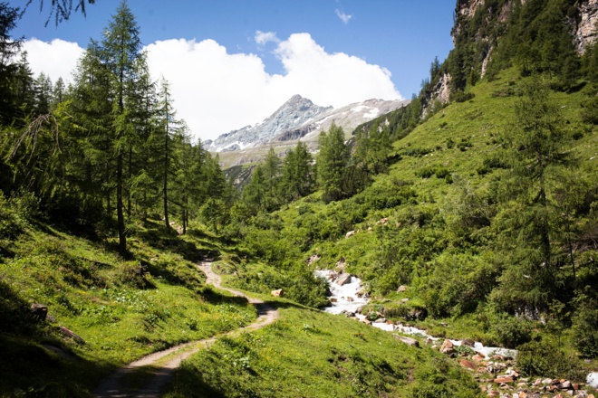 Steig vom Tauernhaus zur Litzlhofalm