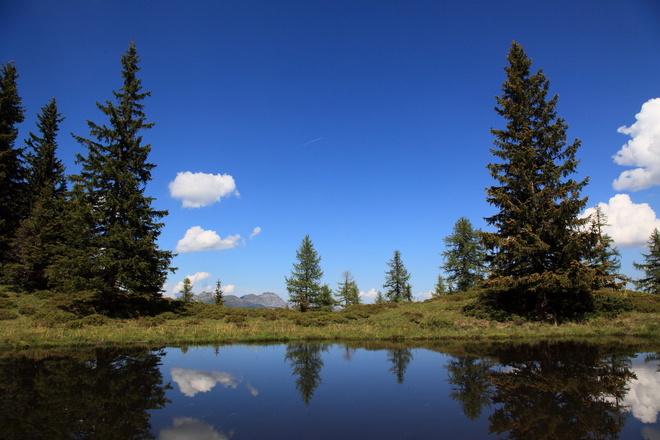 Kleine Lacken am Weg zum Frauenkogel