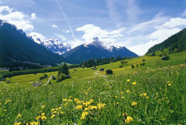 Wiesenweg mit Blick zum Elfer