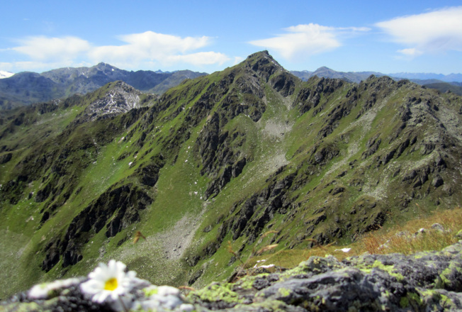 Marchkopf