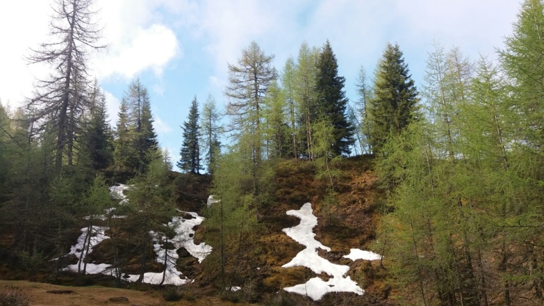 Edertrog (1.860m)
