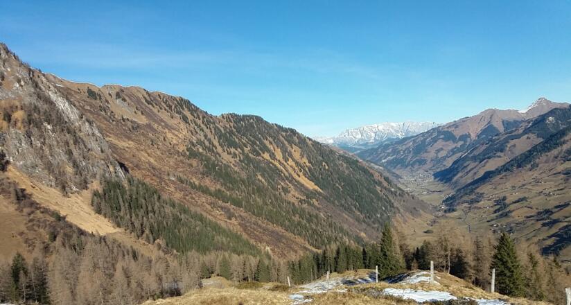 Ausblick Feldereralm