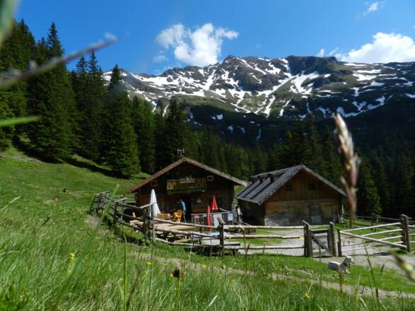 Erlehenalm