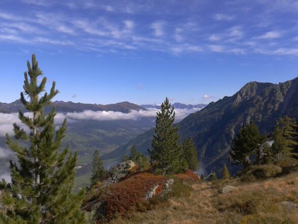 Berge