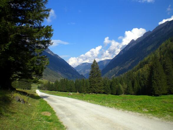 1 - Wanderweg Ferleiten - Käfertal