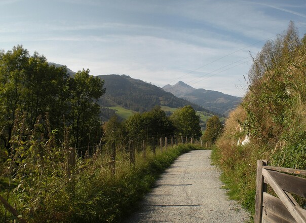 Weg St.Georgen - Bruck