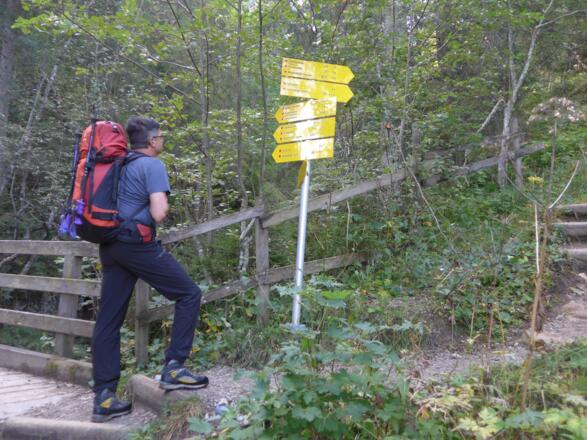 Abzweig zum Strindenbach - westliche Bachseite