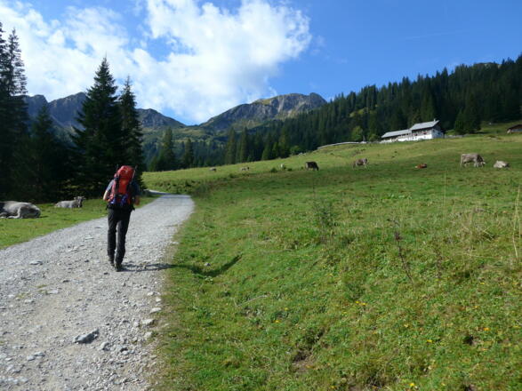 Almweg vor der Edenbachalpe