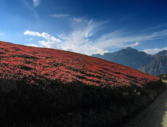 Biketour Gerichtsherrnalm - Trunahütte