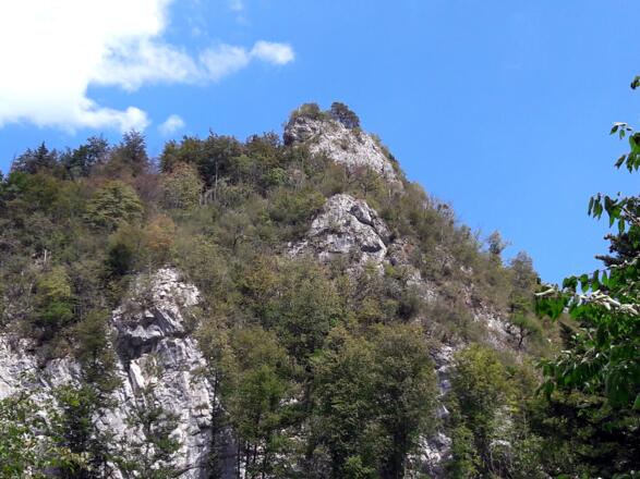 Erster Blick  zur Beisteinmauer vom Anfahrtsweg