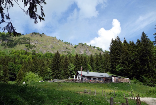 Stallburgalm 1032m mit Burgspitz( Abbruchgrat)