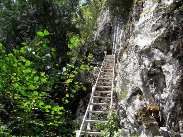 Leitern am Abstiegsweg, einfachere Variante zum Trattenbachklettersteig