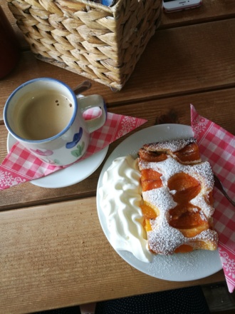 köstlicher Marillenkuchen und Haferlkaffee