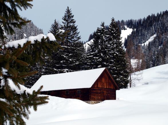 Hasneralm 1277 m
