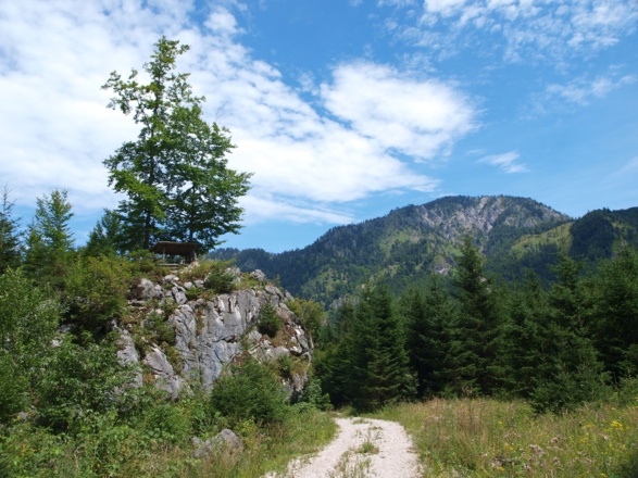 Am Forstweg um 680m