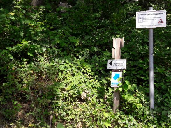 Tafel (~510 m) Normalweg zur Plattform (Fotopunkt)