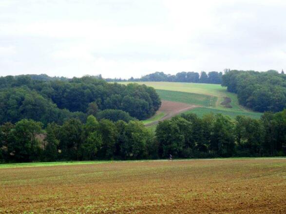 unterwegs Richtung Ansfelden