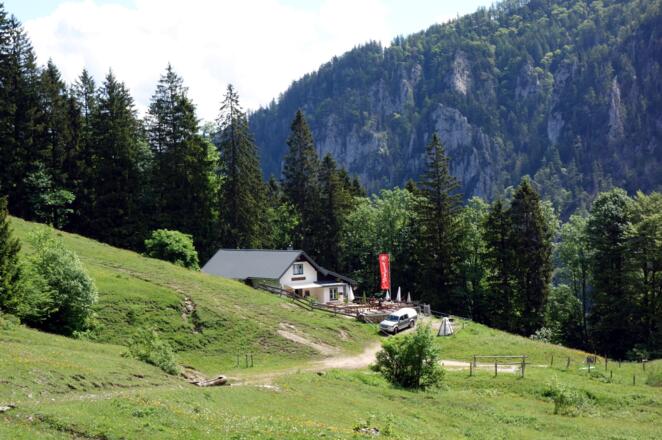 Kurz vor der Stallburgalm  1032m