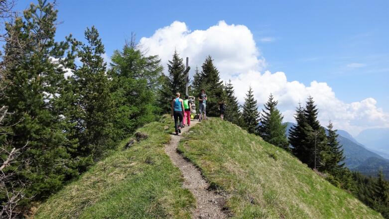 Zuletzt auf schmalem Grasrücken zum Gipfelkreuz.