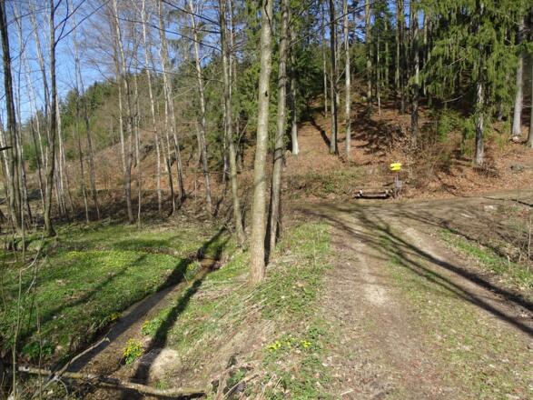 Im Talgrund wählen wir den linken Weg Richtung Burgruine Klingenberg