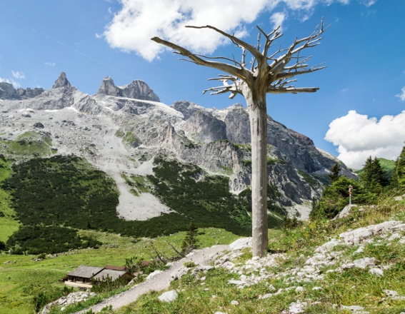 Gauertaler AlpkulTour (c)  Andreas Haller -  Montafon Tourismus GmbH, Schruns.jpg