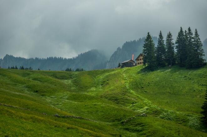 Blick auf die Wildmoosalpe