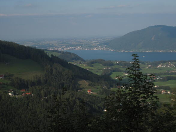 Blick auf den Traunsee