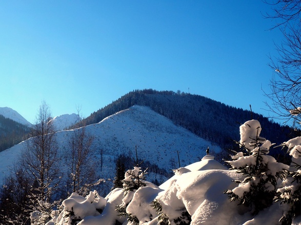 Gr. Mitterberg 1231m von der Hengstpaßstraße gesehen