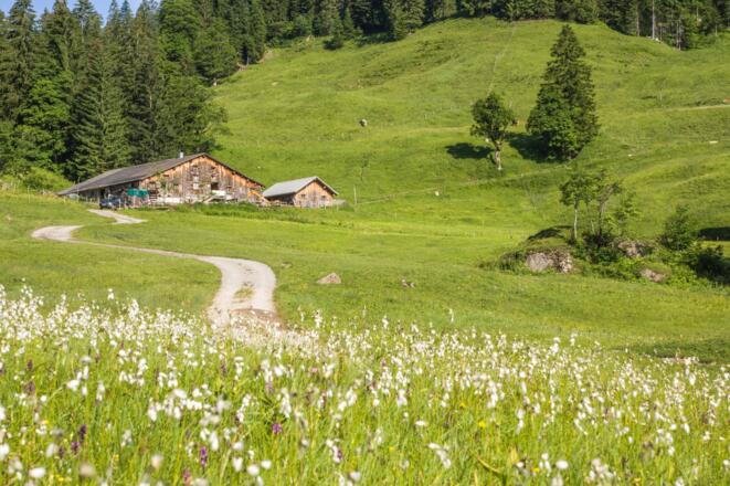 Alpe Obere Falz, Egg-Schetteregg
