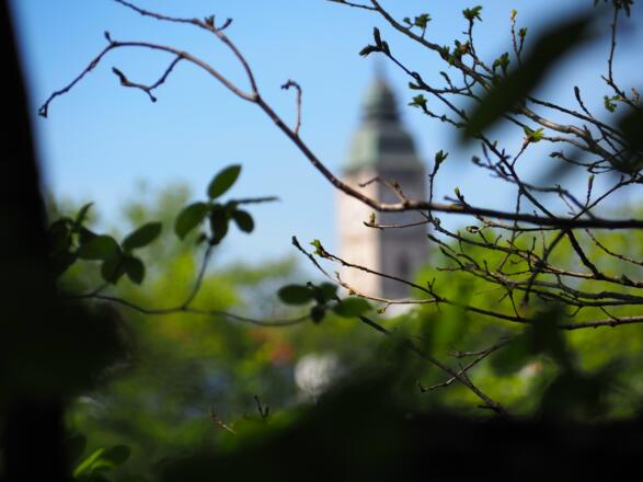 cittaslow_Blick auf Stadtturm_Max Homolka